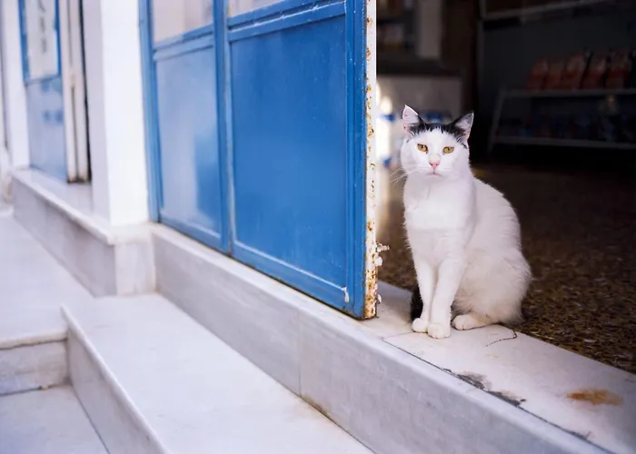 Superb Naxos Grand In The Heart Of Town Balcony Appartement *